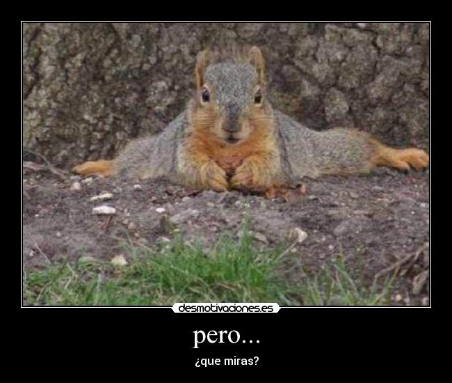 pero... - 