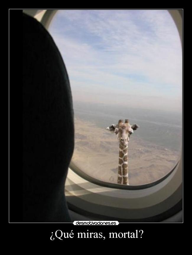 ¿Qué miras, mortal? - 