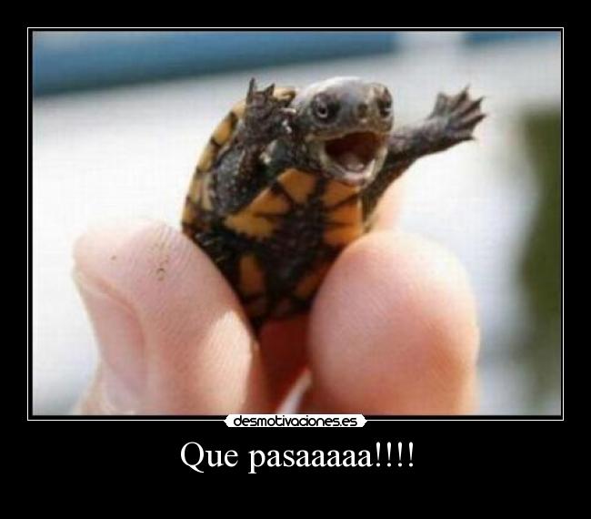 Que pasaaaaa!!!! -