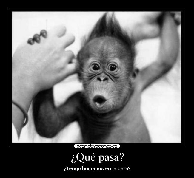 ¿Qué pasa? - 