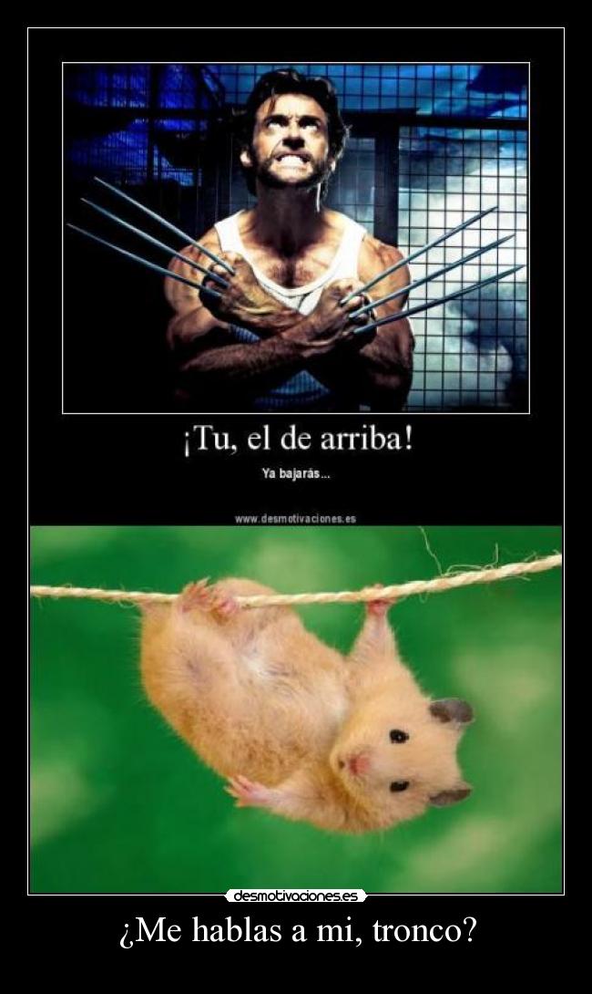 ¿Me hablas a mi, tronco? -