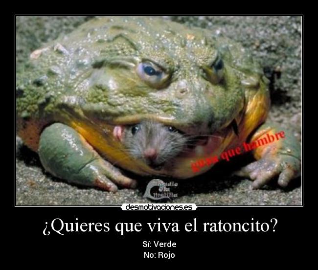 ¿Quieres que viva el ratoncito? -