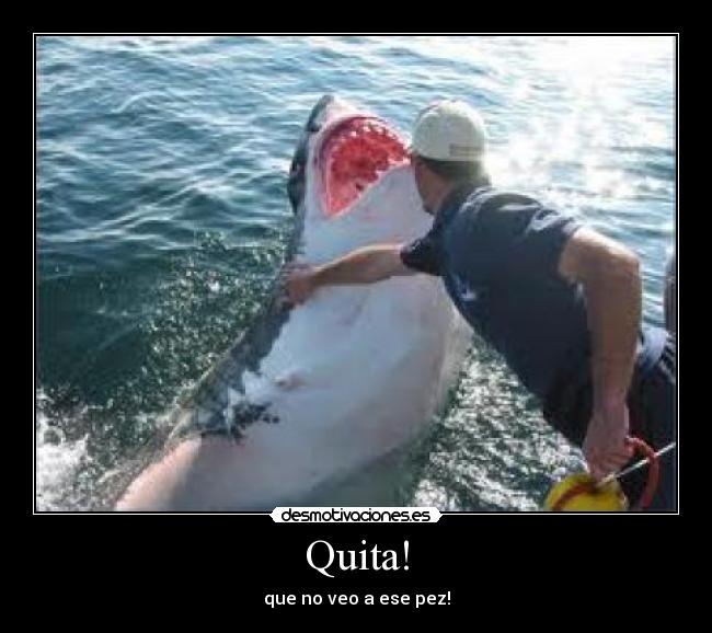 Quita! - que no veo a ese pez!