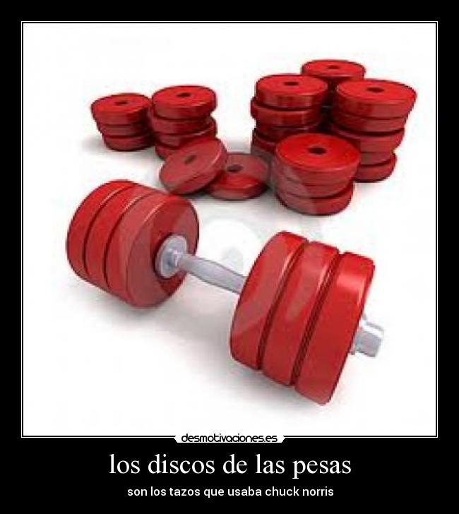 los discos de las pesas -
