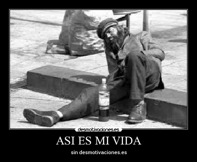 ASI ES MI VIDA - sin desmotivaciones.es