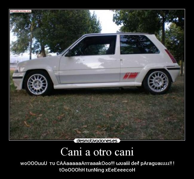 Cani a otro cani - woOOOuuU  тυ CAAaaaaaArrraaakOoo!!! ωυaIiI deℓ pAragυaιιιιι!! !
tOoOOOhH tunNing xEeEeeecoH