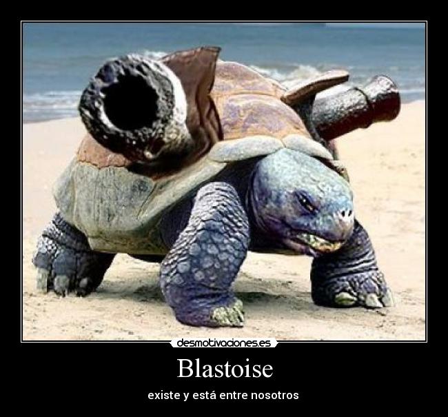 Blastoise -