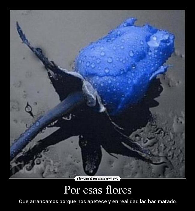 Por esas flores -