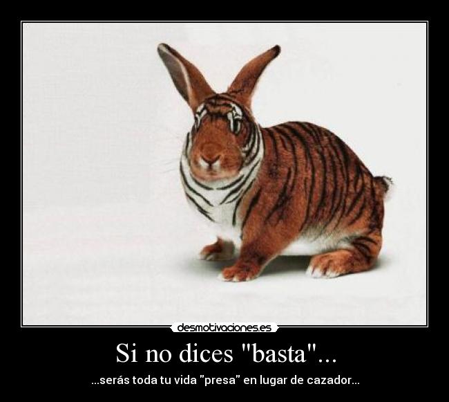 Si no dices basta... - 