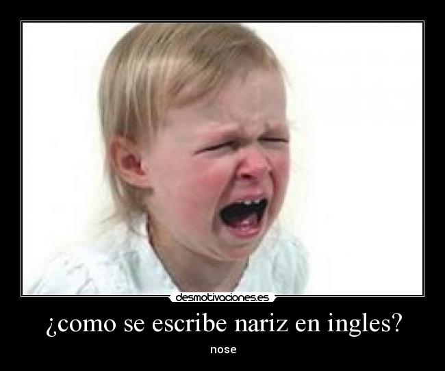 ¿como se escribe nariz en ingles? -
