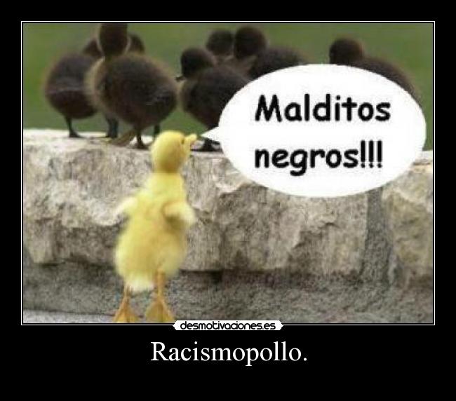 Racismopollo. -