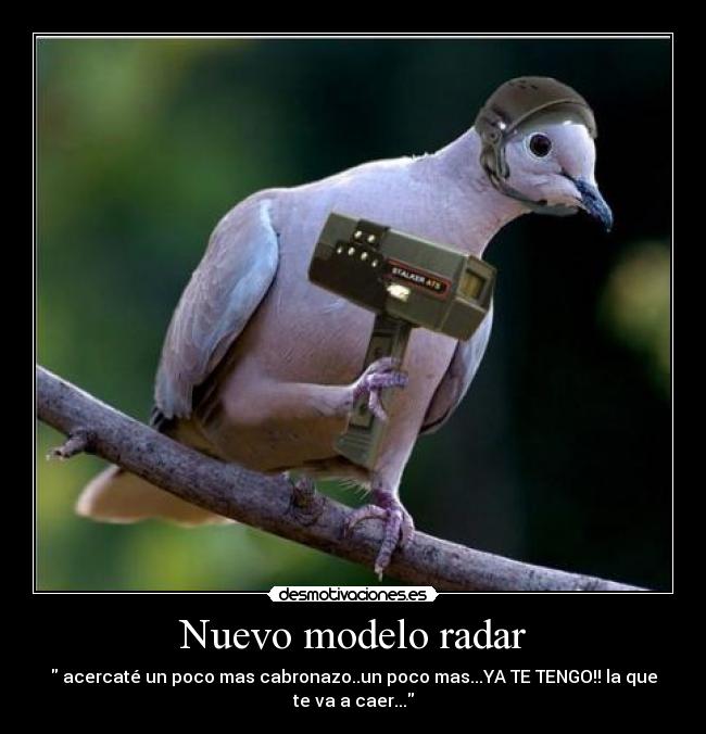 Nuevo modelo radar - acercaté un poco mas cabronazo..un poco mas...YA TE TENGO!! la que
te va a caer...
