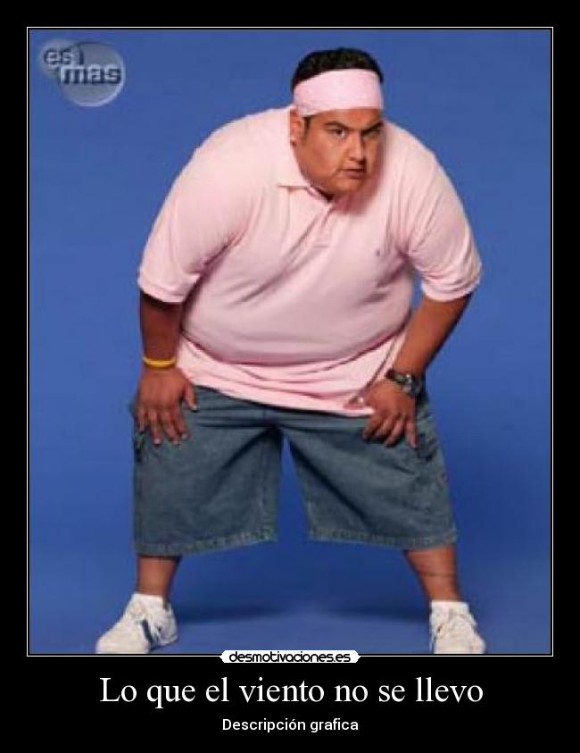 Lo que el viento no se llevo - Descripción grafica