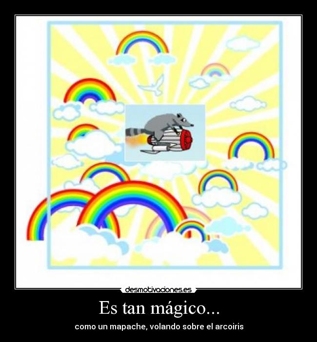 carteles mapaches desmotivaciones