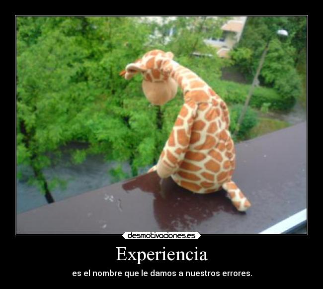 Experiencia -