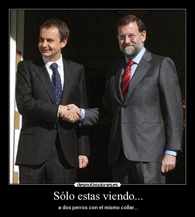 Sólo estas viendo... - a dos perros con el mismo collar...