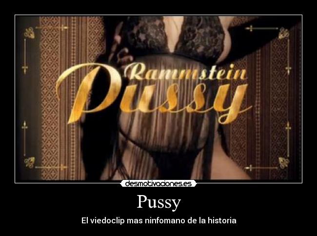 carteles pussy desmotivaciones