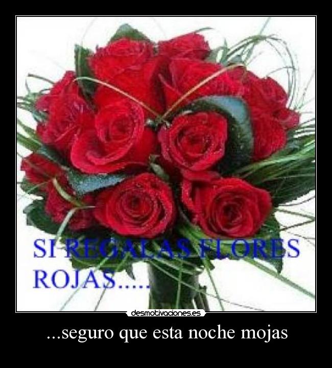 ...seguro que esta noche mojas -
