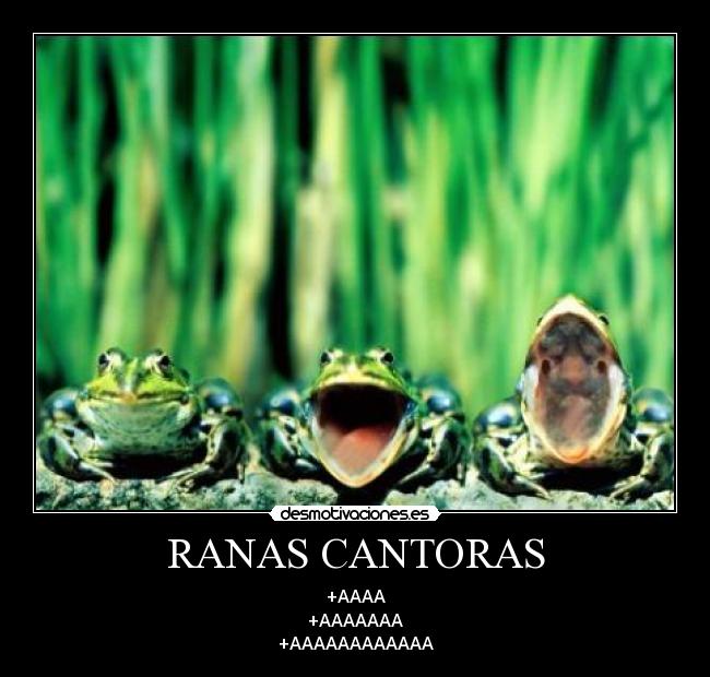 RANAS CANTORAS - +AAAA
+AAAAAAA
+AAAAAAAAAAAA