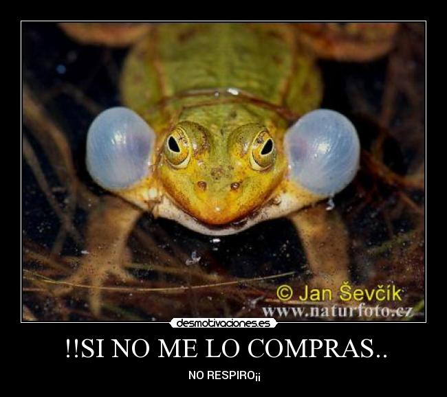 !!SI NO ME LO COMPRAS.. - NO RESPIRO¡¡