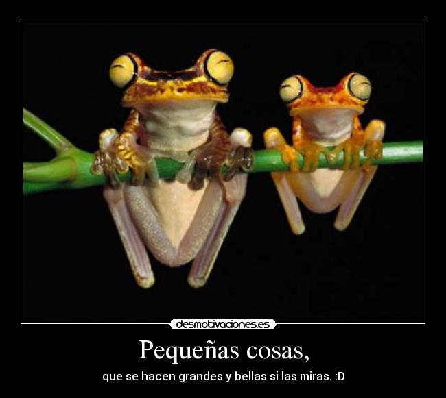 Pequeñas cosas, - 