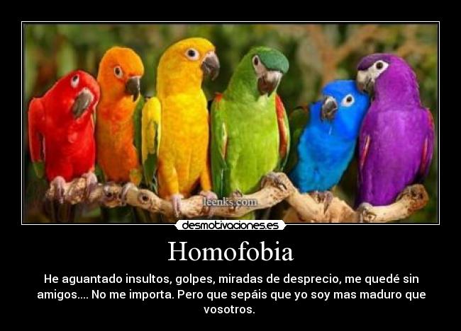 carteles homofobia bullying madurar desmotivaciones