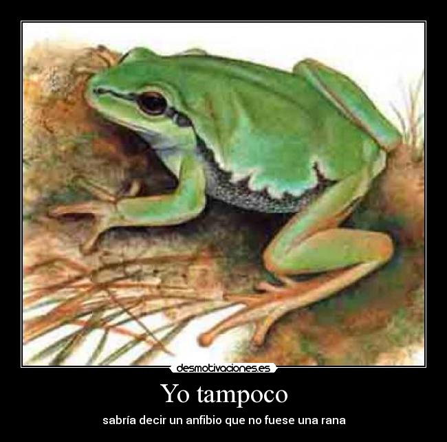 carteles rana desmotivaciones