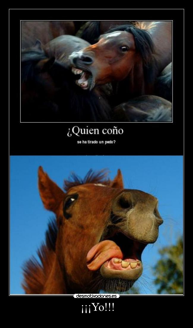 ¡¡¡Yo!!! - 