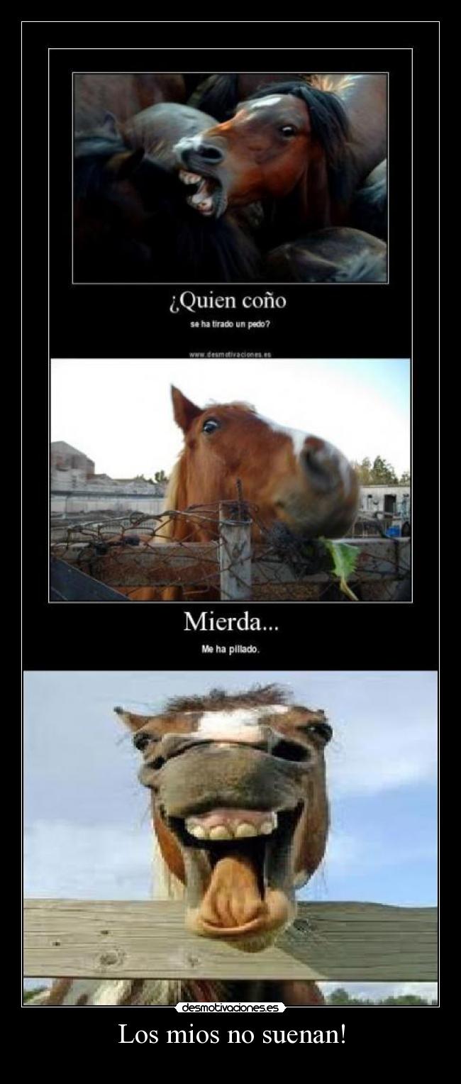 Los mios no suenan! -