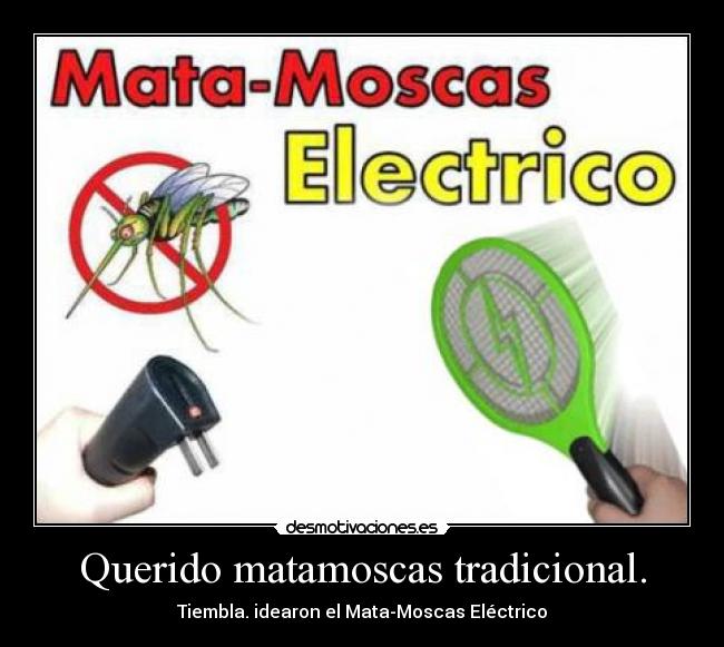 Querido matamoscas tradicional. -