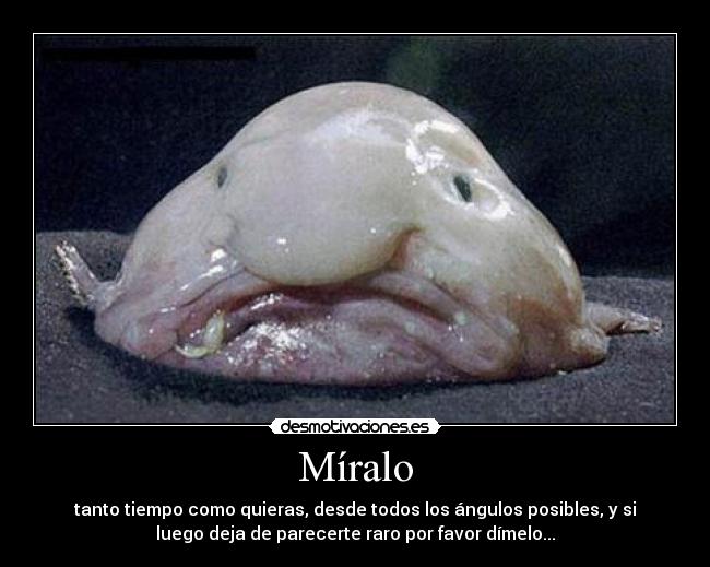 Míralo - tanto tiempo como quieras, desde todos los ángulos posibles, y si
luego deja de parecerte raro por favor dímelo...