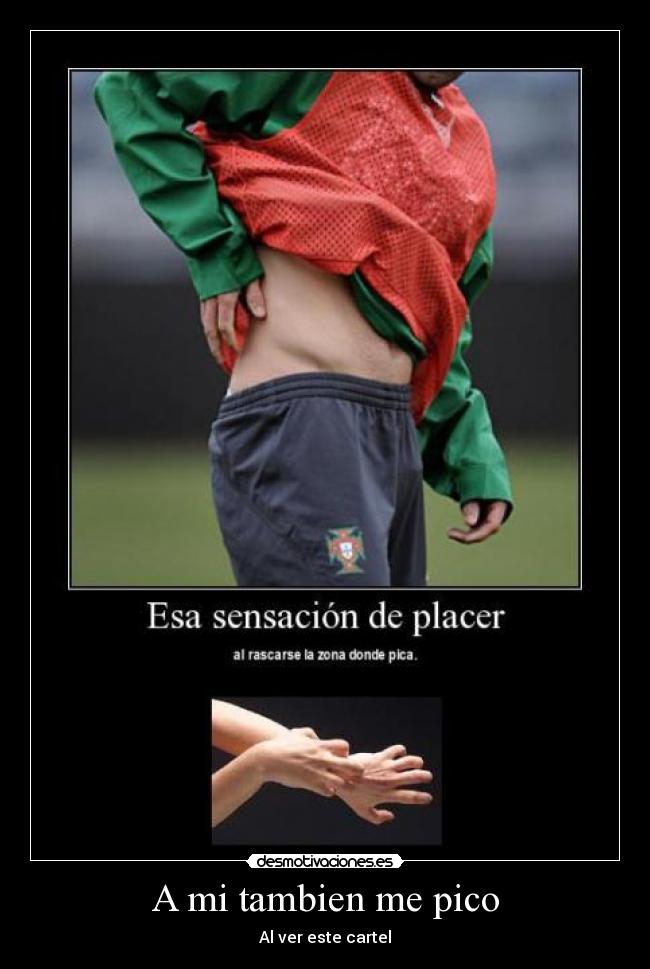 A mi tambien me pico - 
