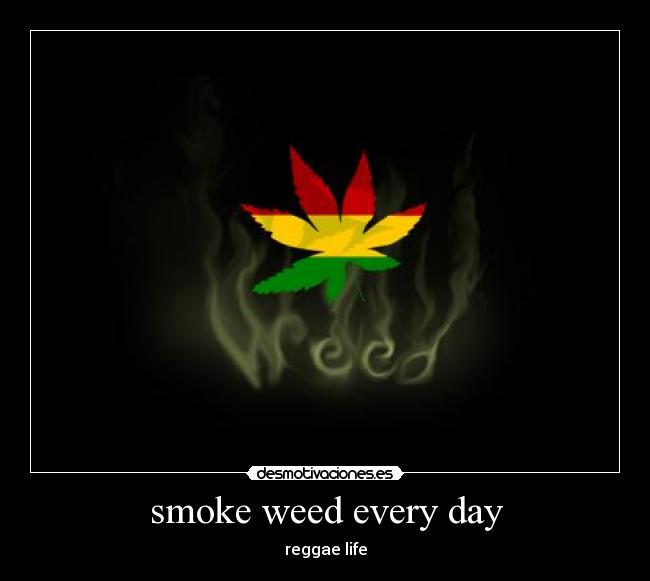 carteles smoke weed every day desmotivaciones