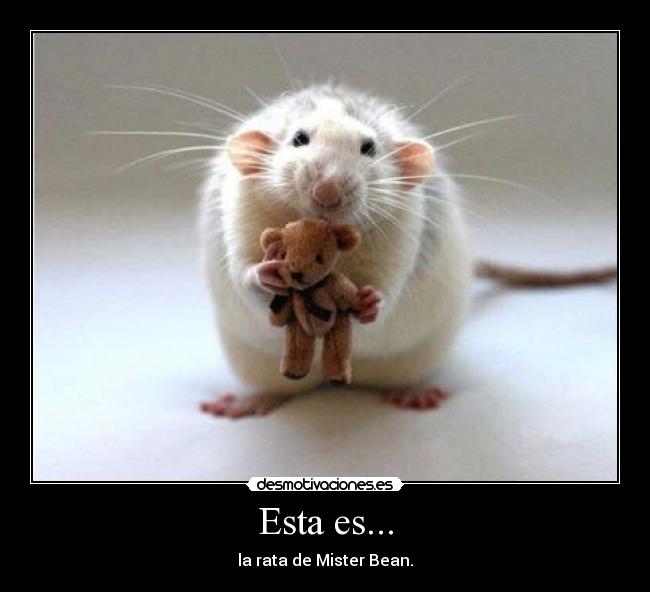 Esta es... - 
