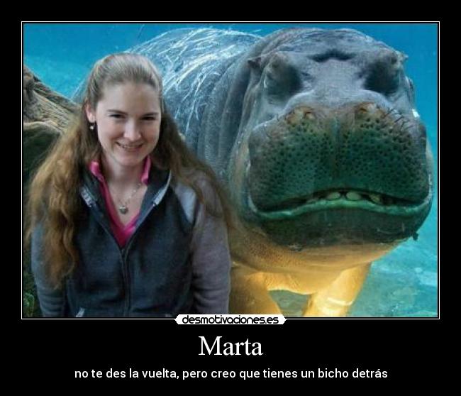 Marta - no te des la vuelta, pero creo que tienes un bicho detrás