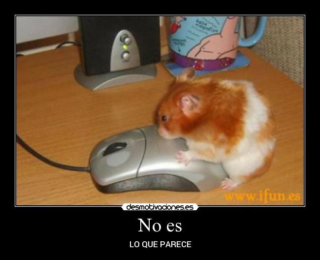 carteles noelia2 desmotivaciones