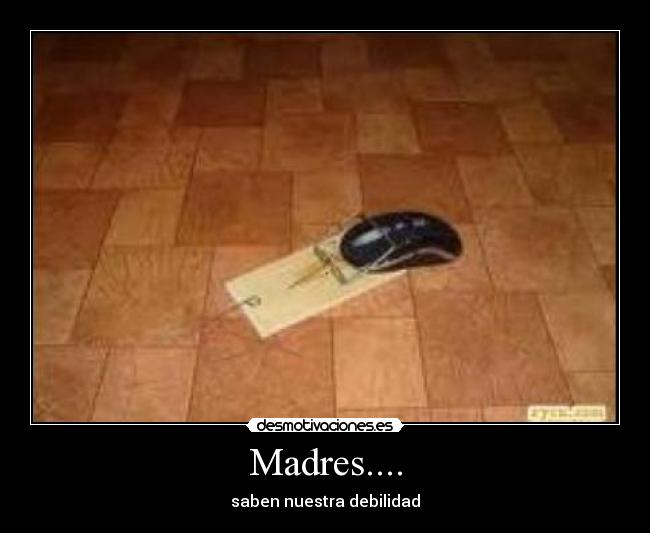 Madres.... - 