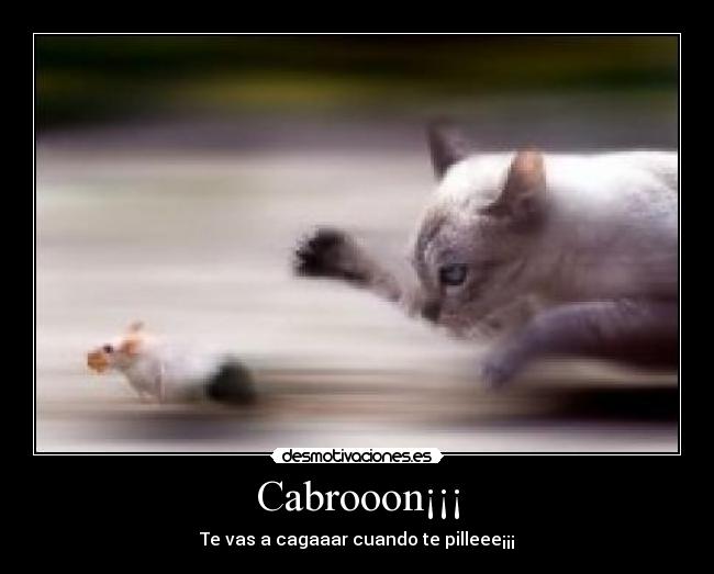 Cabrooon¡¡¡ - Te vas a cagaaar cuando te pilleee¡¡¡