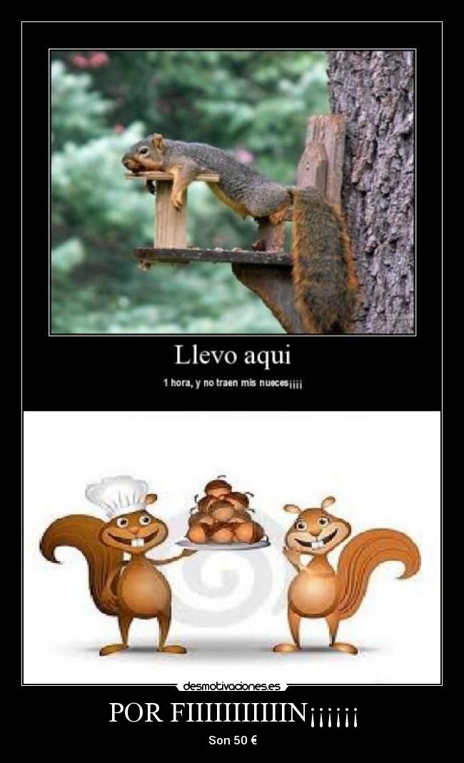 POR FIIIIIIIIIIIN¡¡¡¡¡¡ -