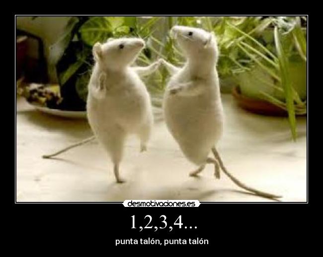 1,2,3,4... - punta talón, punta talón