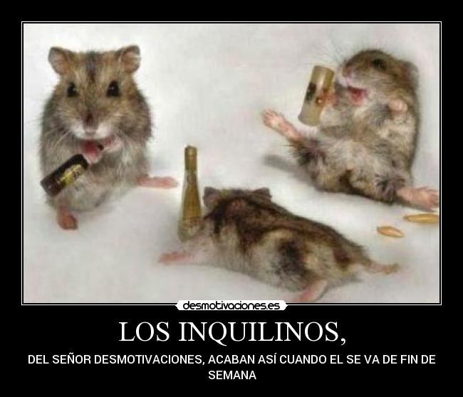 carteles inquilinos desmotivaciones