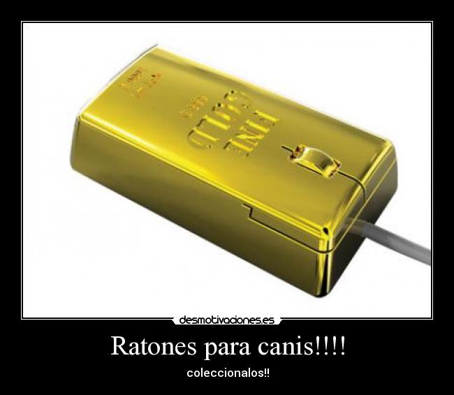 Ratones para canis!!!! -