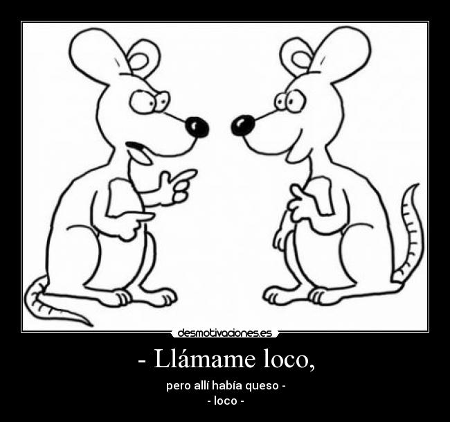 - Llámame loco, - pero allí había queso -
- loco -