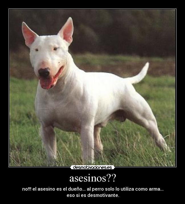 asesinos?? - no!!! el asesino es el dueño... al perro solo lo utiliza como arma...
eso si es desmotivante.
