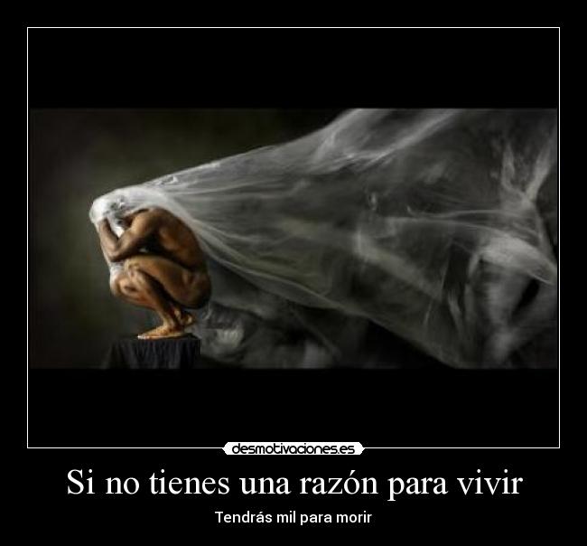 carteles razones desmotivaciones