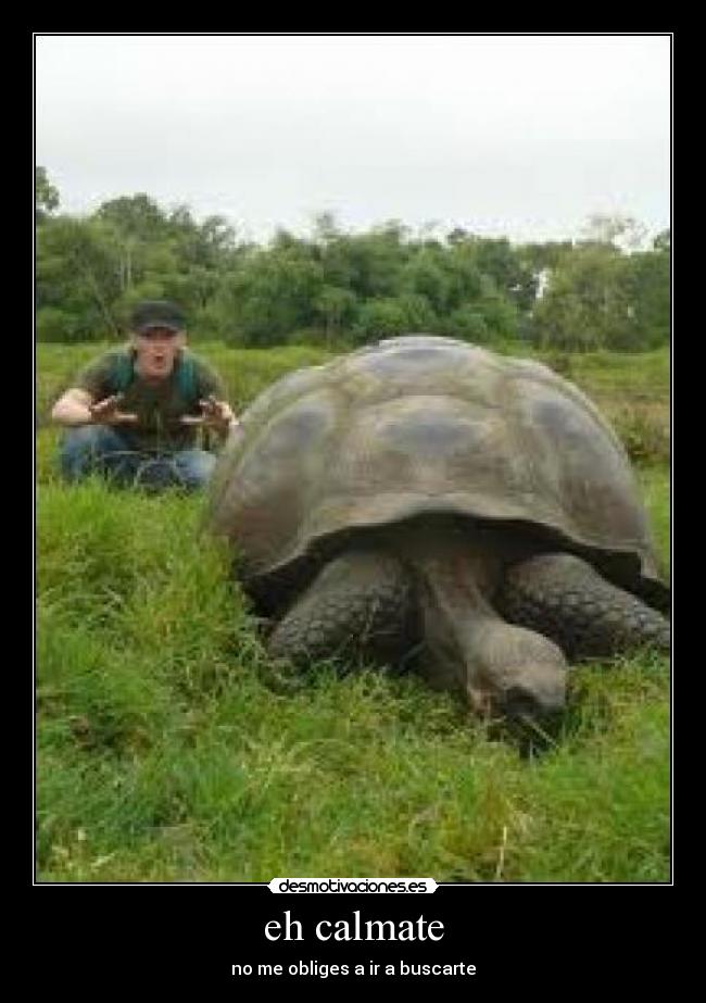 eh calmate -