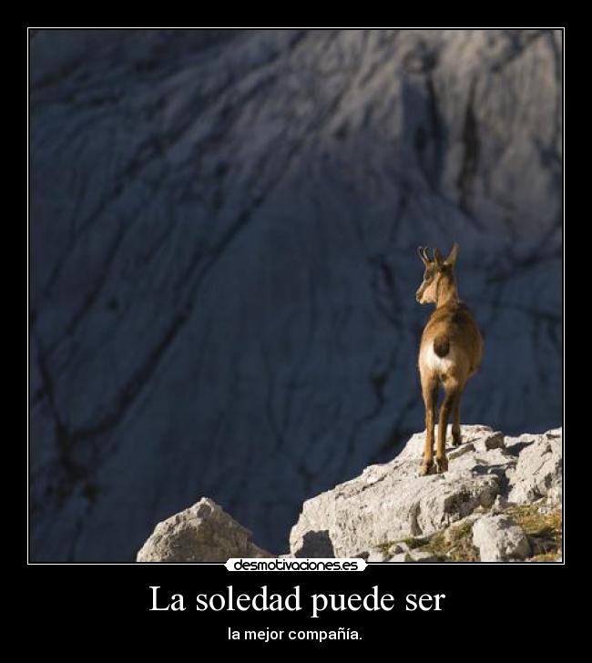 carteles soledad soledad desmotivaciones