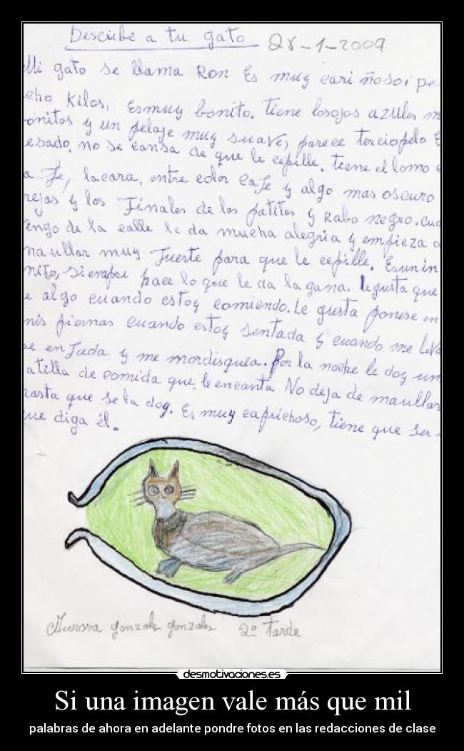 carteles humor desmotivaciones