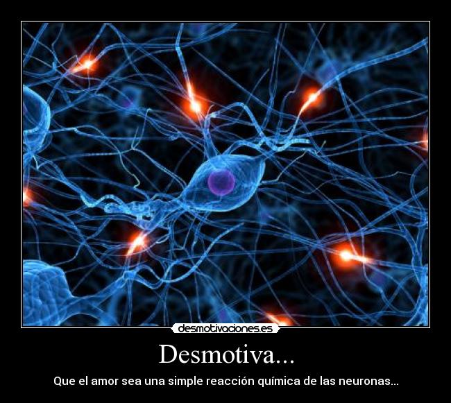 Desmotiva... - Que el amor sea una simple reacción química de las neuronas...