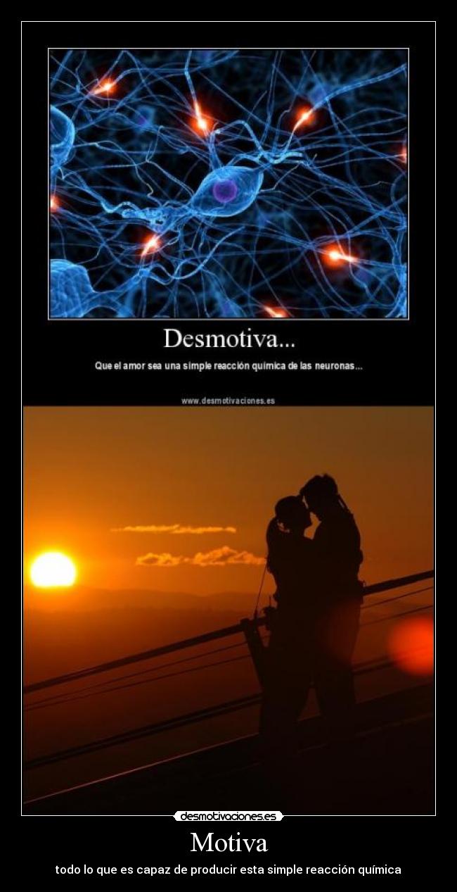 carteles amor neuronas quimica motiva desmotivaciones